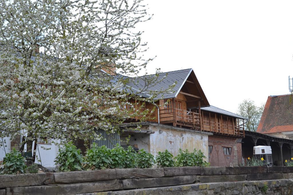 Penzion Dvur Krasikov Kokasice Exteriör bild
