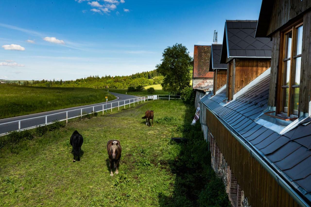 Penzion Dvur Krasikov Kokasice Exteriör bild